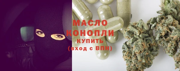 индика Армянск