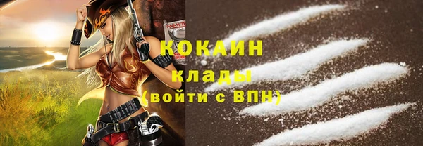 индика Армянск